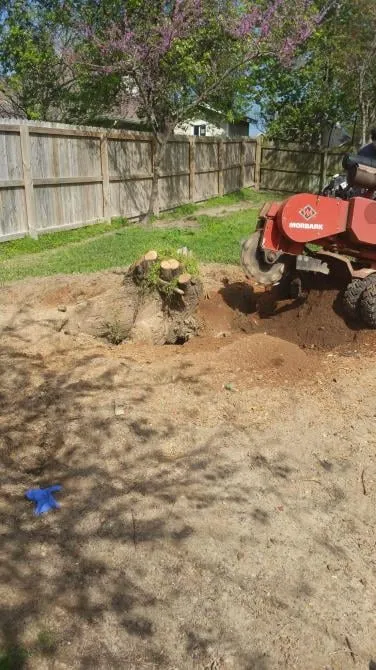 Reliable yard cleanup service in Overton, TX - The Masters Tree Service