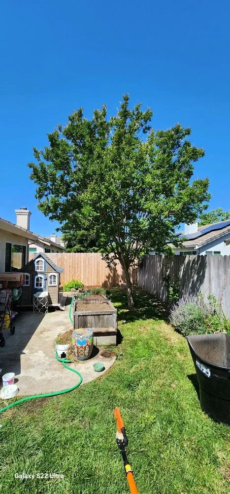 Affordable yard maintenance for homes in Arden-Arcade, CA by The McDonald's Tree & Landscaping