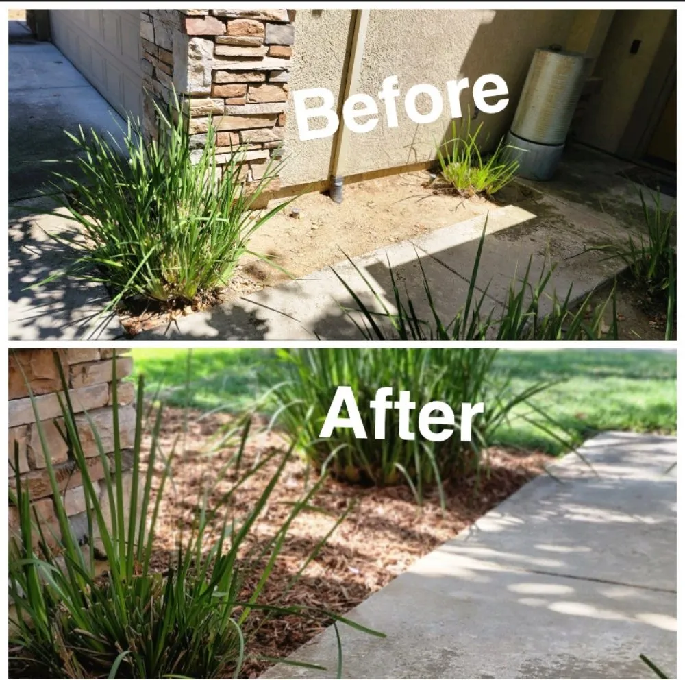 Professional outdoor landscaping in Arden-Arcade, CA by The McDonald's Tree & Landscaping