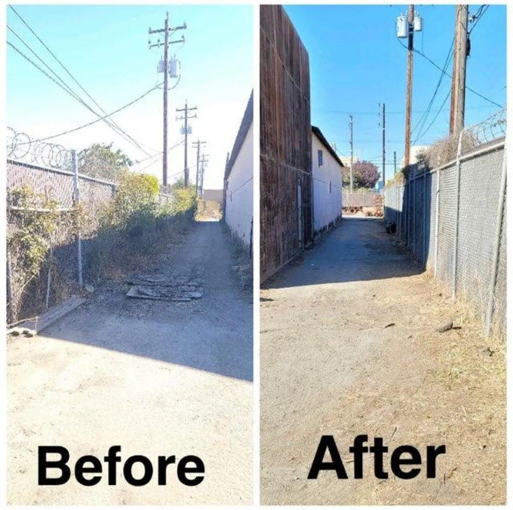 Local yard cleanup service experts serving Arden-Arcade, CA - The McDonald's Tree & Landscaping