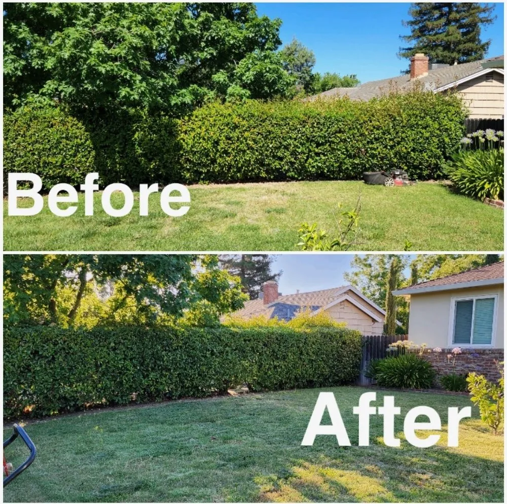 Professional landscaping services experts serving Arden-Arcade, CA - The McDonald's Tree & Landscaping