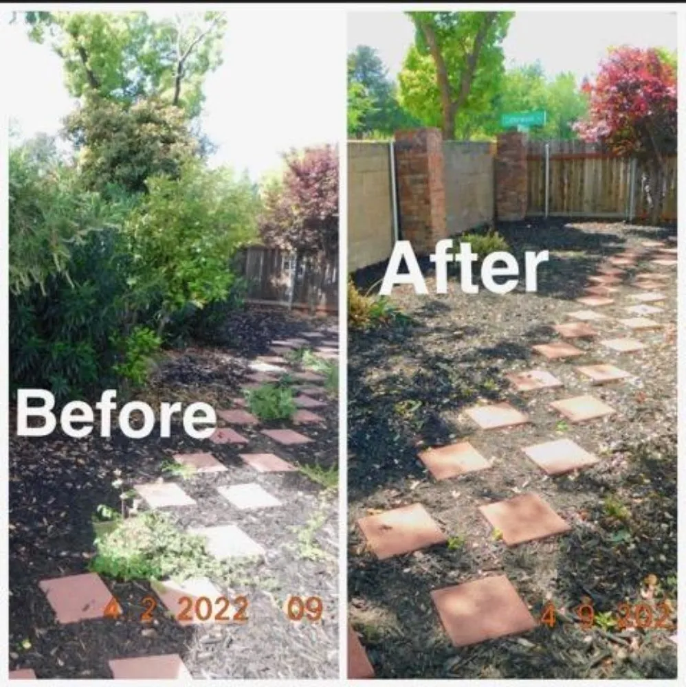 Affordable lawn care service for year-round maintenance in Arden-Arcade, CA by The McDonald's Tree & Landscaping
