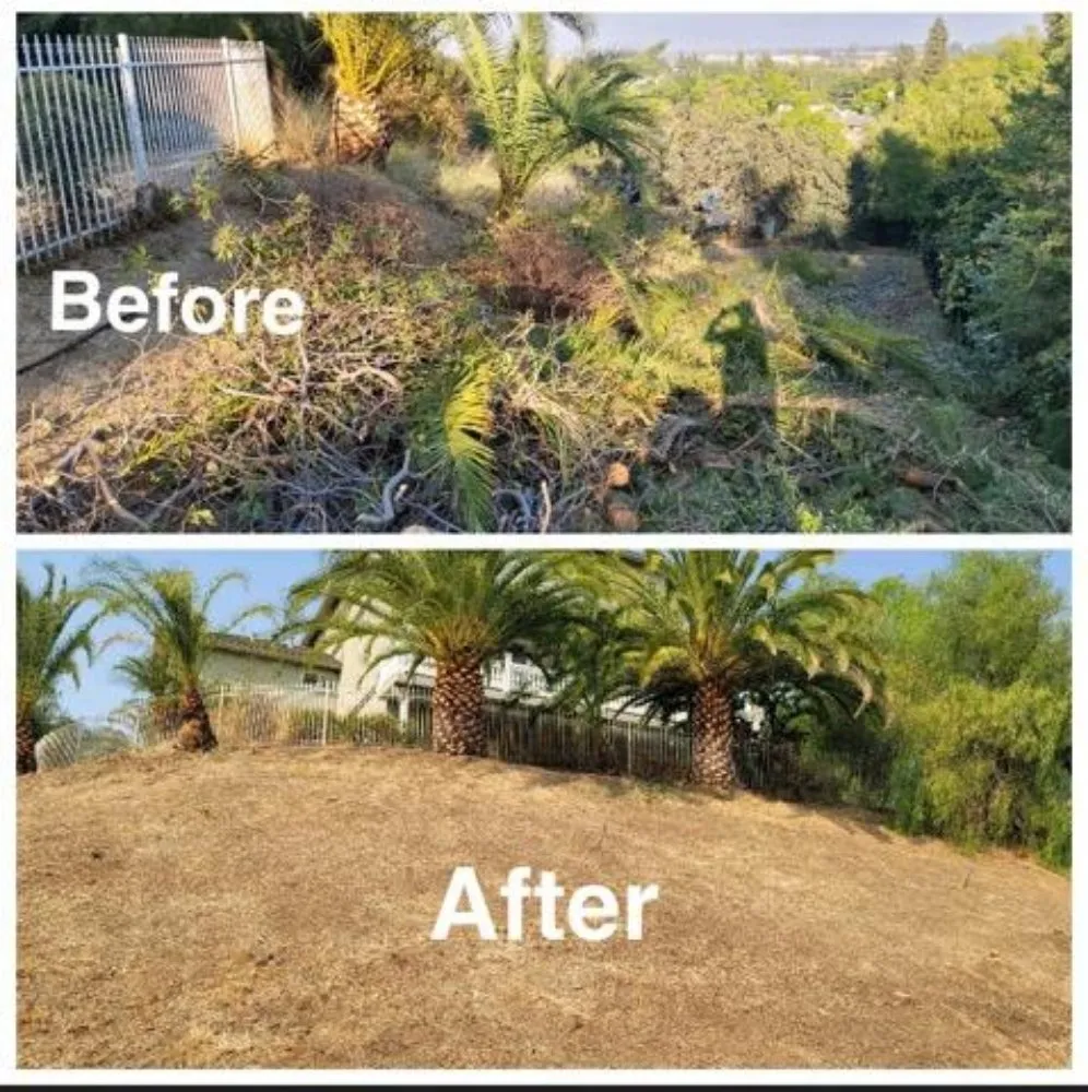 Local outdoor landscaping in Arden-Arcade, CA by The McDonald's Tree & Landscaping