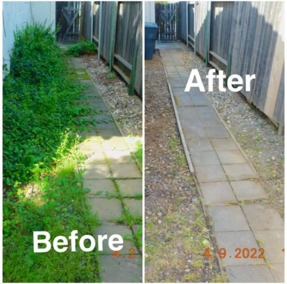 Top-rated lawn care service for residential properties in Arden-Arcade, CA by The McDonald's Tree & Landscaping