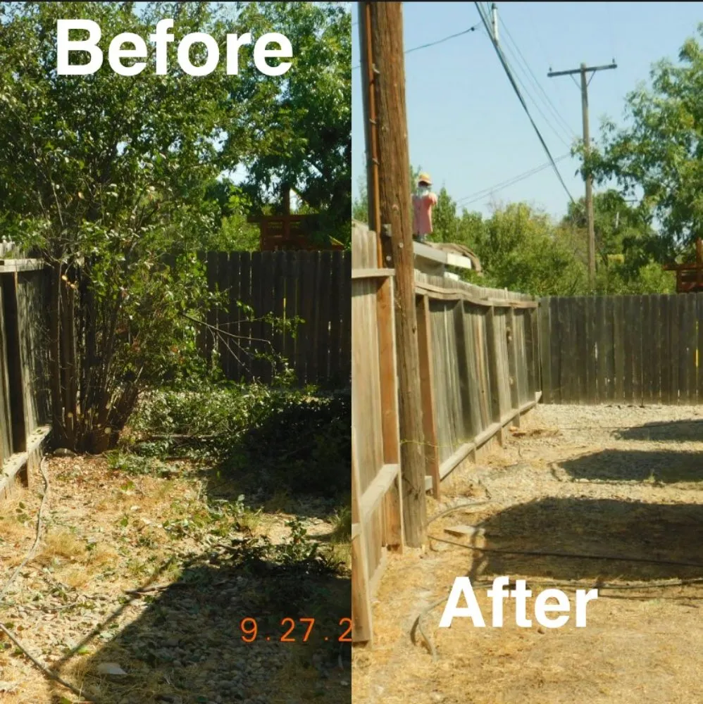 Expert outdoor landscaping in Arden-Arcade, CA by The McDonald's Tree & Landscaping