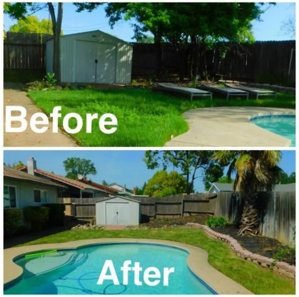 Professional landscaping services for year-round maintenance across Arden-Arcade, CA - The McDonald's Tree & Landscaping