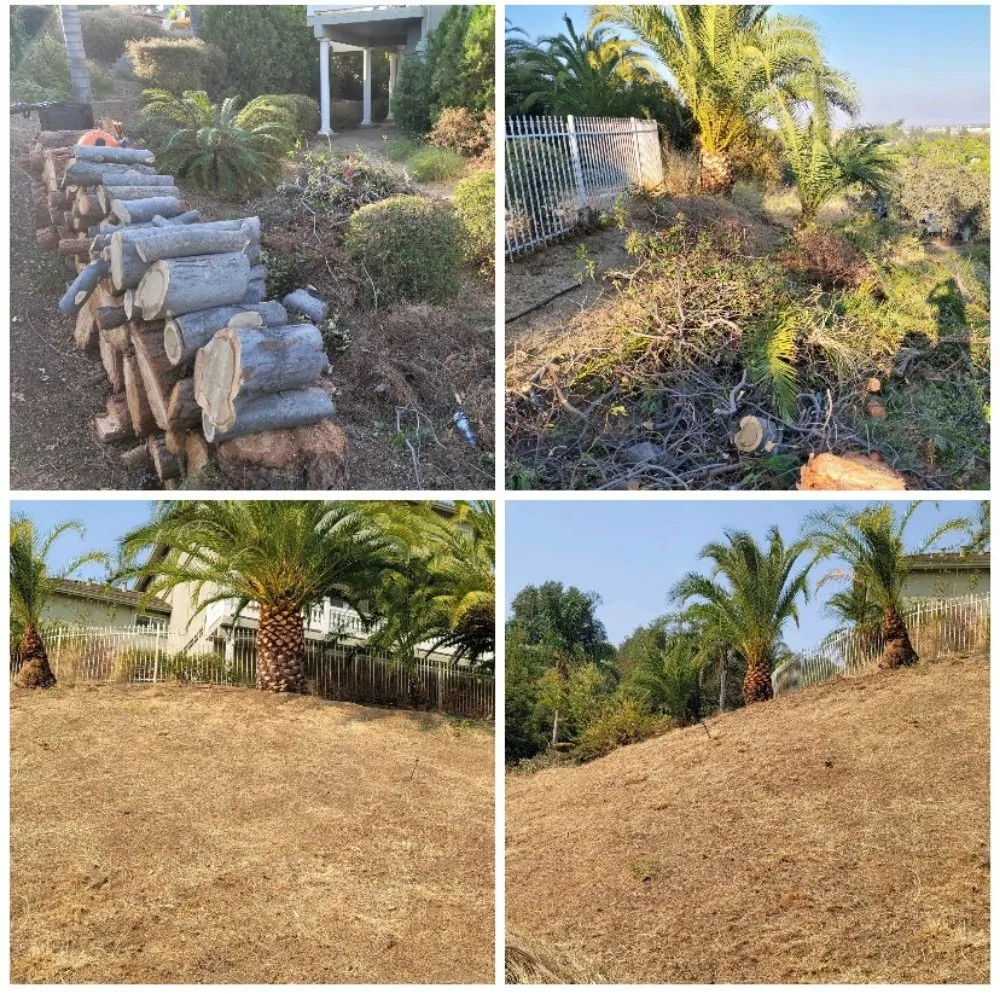 Reliable lawn care service in Arden-Arcade, CA - The McDonald's Tree & Landscaping