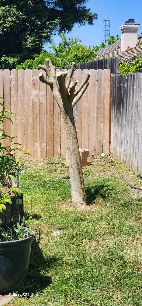 Trusted garden landscaping for year-round maintenance in Arden-Arcade, CA by The McDonald's Tree & Landscaping