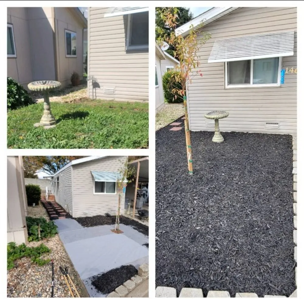 Top-rated lawn care service experts serving Arden-Arcade, CA - The McDonald's Tree & Landscaping