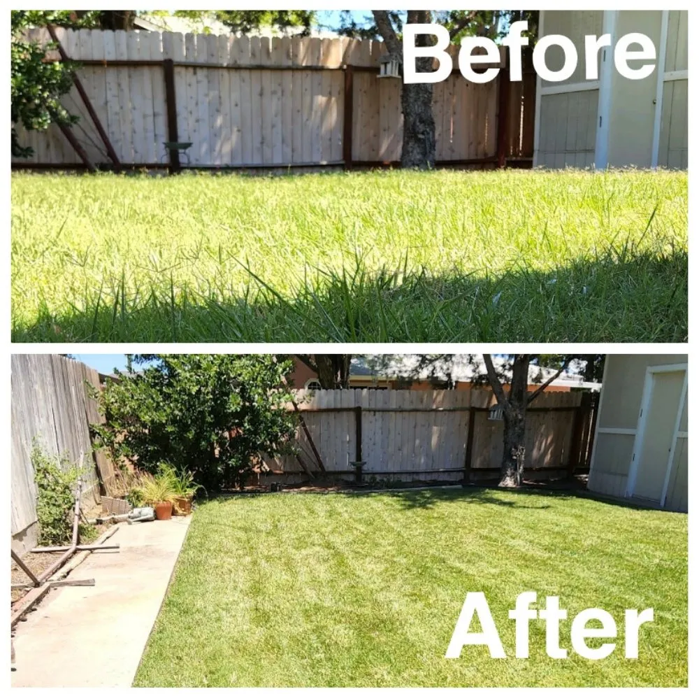 Local lawn care service with custom design across Arden-Arcade, CA - The McDonald's Tree & Landscaping