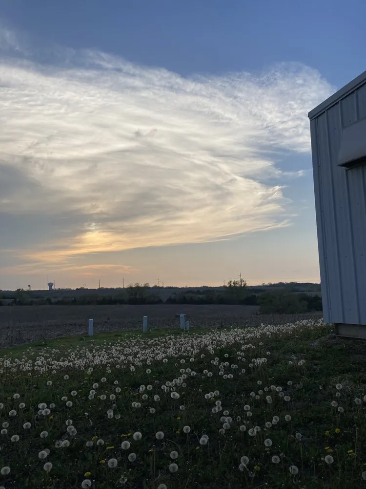 Expert residential landscaping in Odell, NE by The Microgreen Nursery