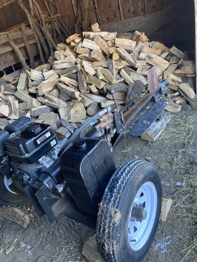 Expert yard cleanup service in Odell, NE - The Microgreen Nursery