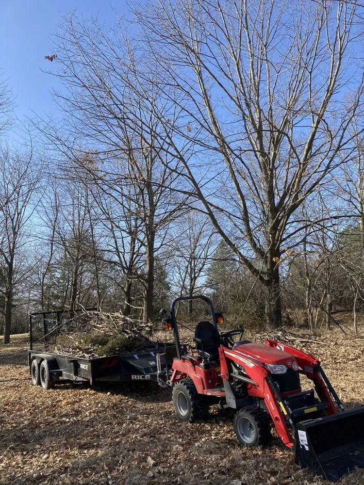Local landscaping services for outdoor upgrades in Odell, NE by The Microgreen Nursery