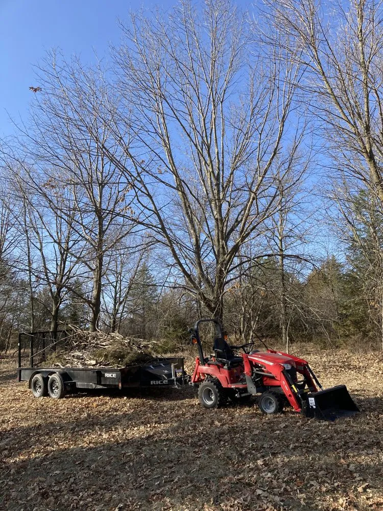 Top-rated yard cleanup service experts serving Odell, NE - The Microgreen Nursery