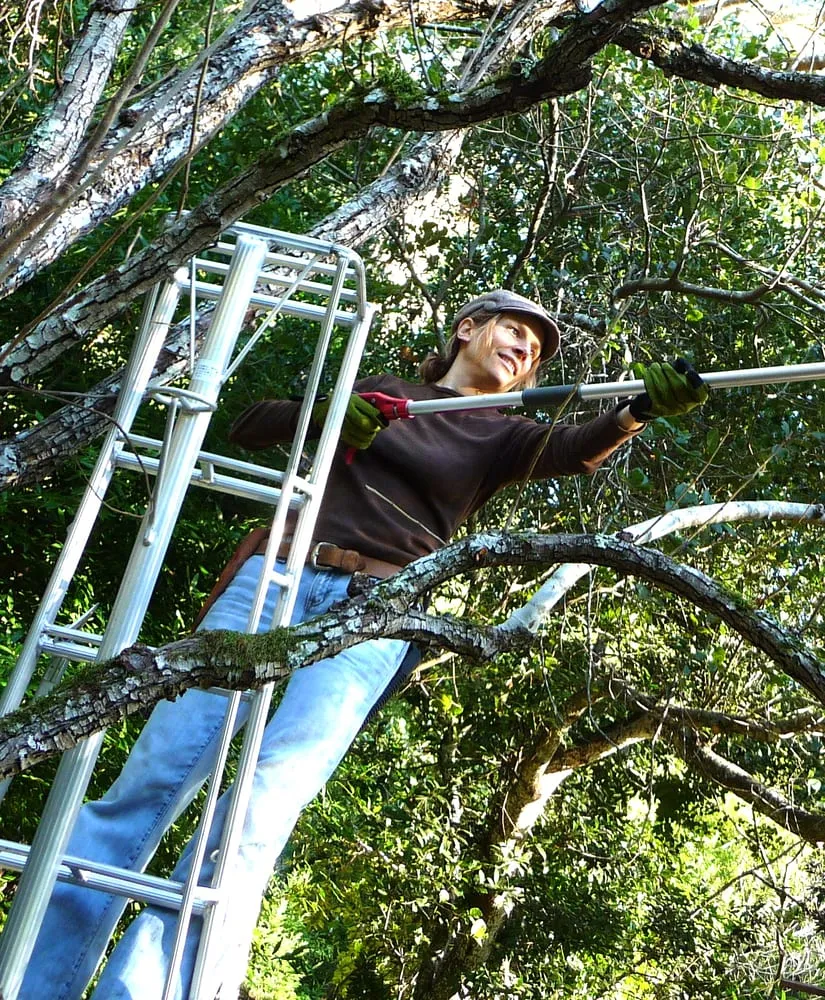 Professional lawn mowing service near you in San Anselmo, CA by The Mindful Pruner