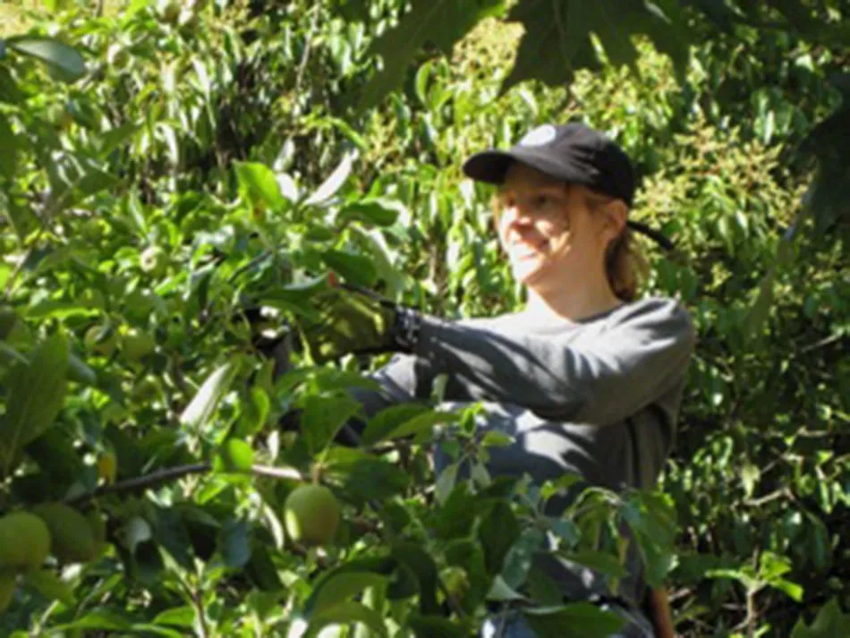 Reliable residential landscaping experts serving San Anselmo, CA - The Mindful Pruner