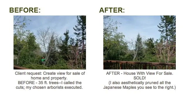 Custom landscape installation for residential properties across San Anselmo, CA - The Mindful Pruner