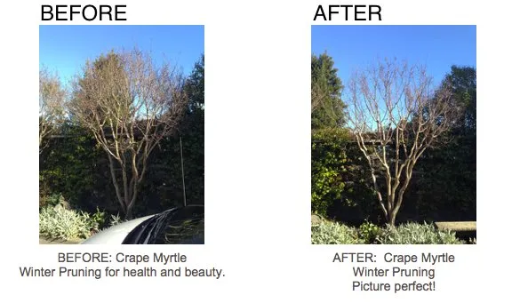 Reliable landscape installation near you across San Anselmo, CA - The Mindful Pruner
