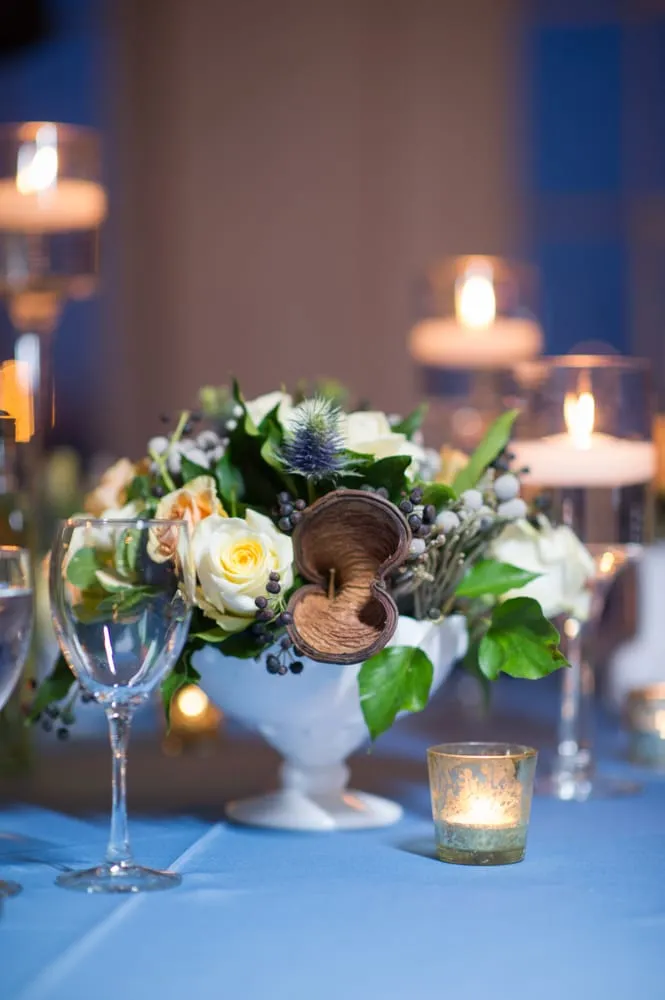 Trusted yard maintenance near you across New York, NY - The Mini Rose