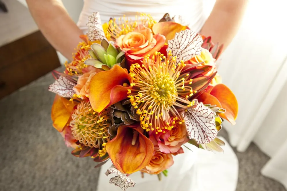 Reliable outdoor landscaping in New York, NY by The Mini Rose