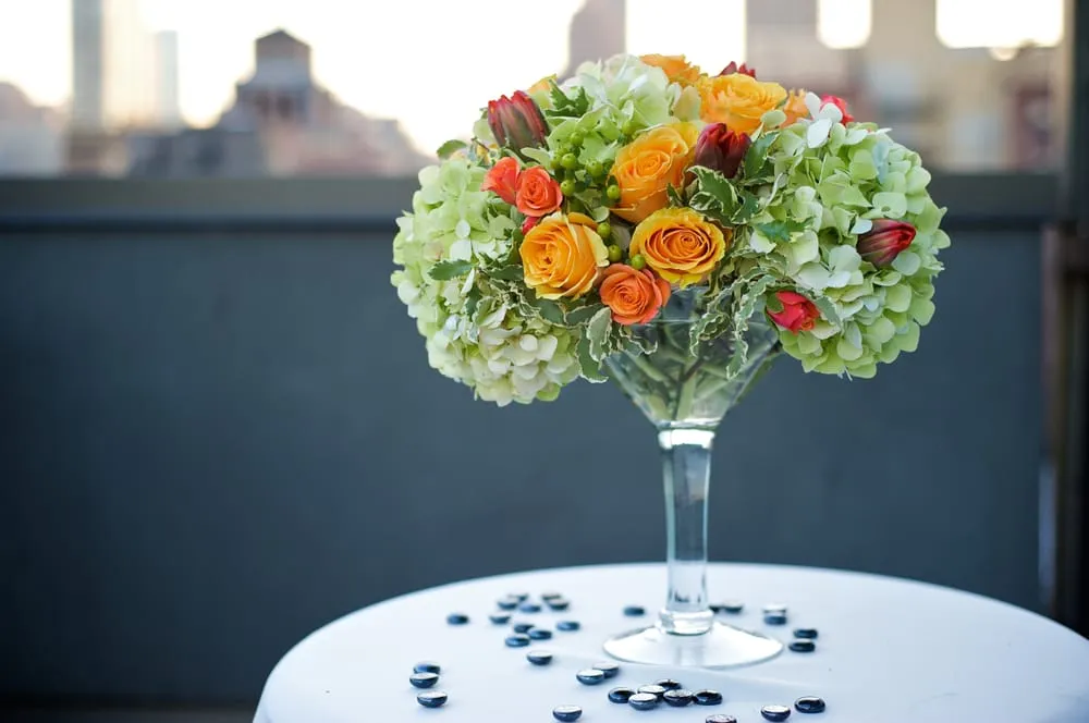 Trusted yard cleanup service in New York, NY - The Mini Rose