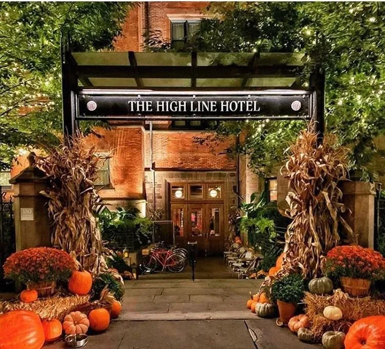 Professional lawn care service experts serving New York, NY - The Mini Rose