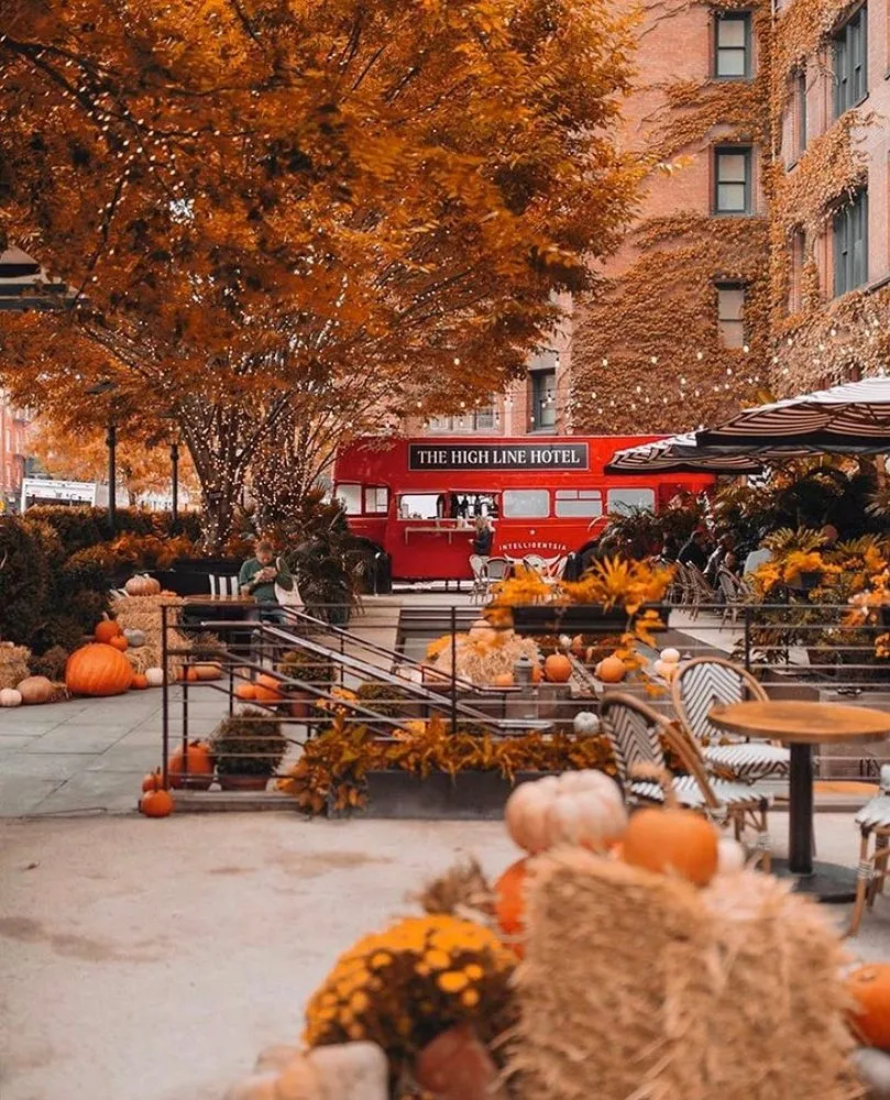 Local landscape installation for year-round maintenance in New York, NY by The Mini Rose