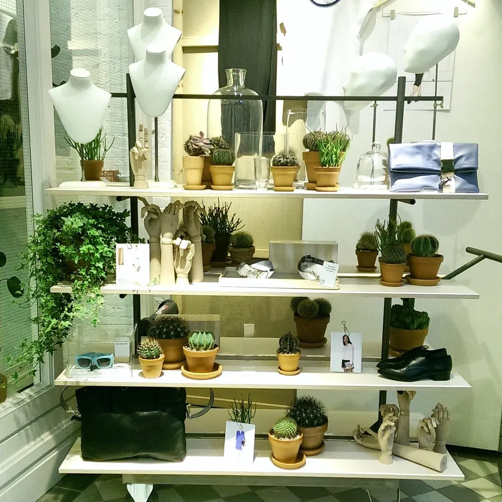 Trusted residential landscaping near you across New York, NY - The Mini Rose