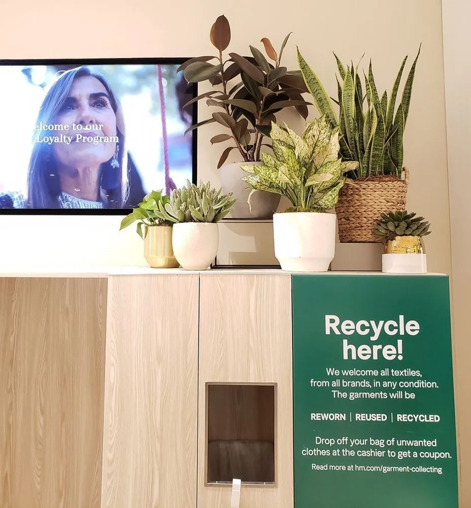 Professional yard maintenance for homes across New York, NY - The Mini Rose