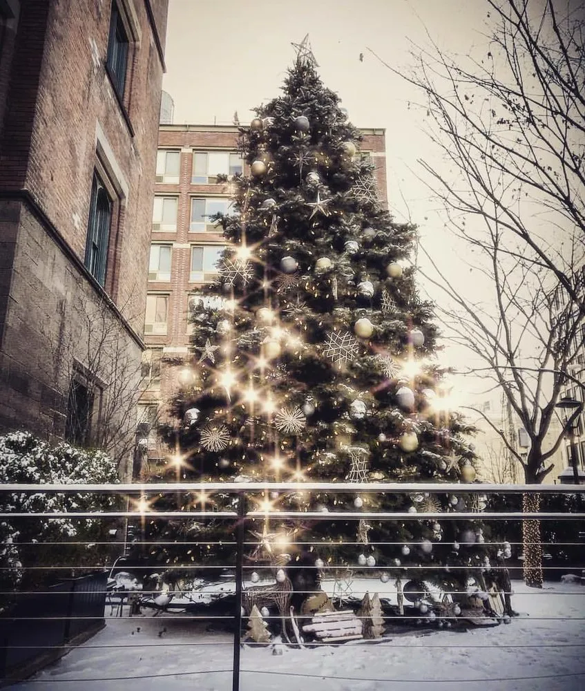 Trusted yard cleanup service in New York, NY by The Mini Rose