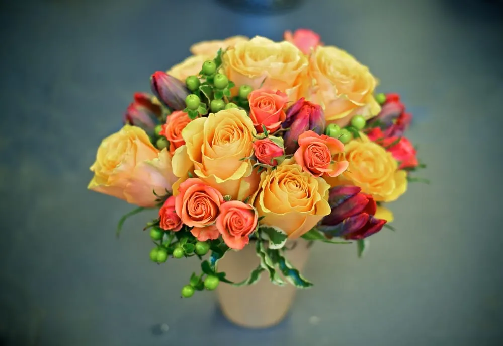 Reliable landscape design for residential properties across New York, NY - The Mini Rose