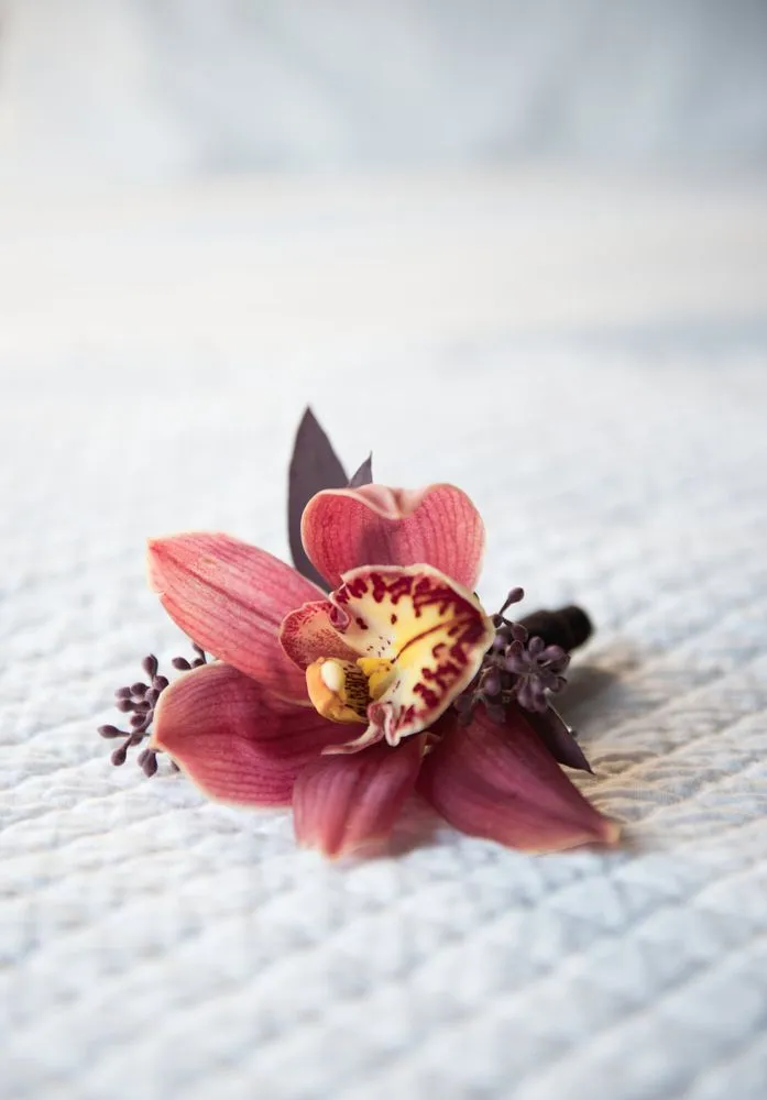 Professional yard maintenance experts serving New York, NY - The Mini Rose