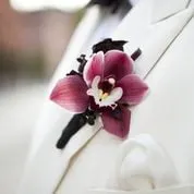 Expert residential landscaping near you in New York, NY by The Mini Rose