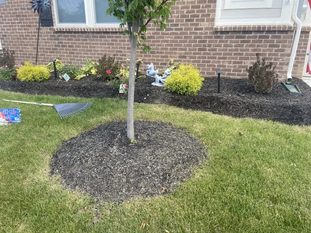 Top-rated residential landscaping in Anderson, IN by The Minor Detail’s Landscaping and Garden Services