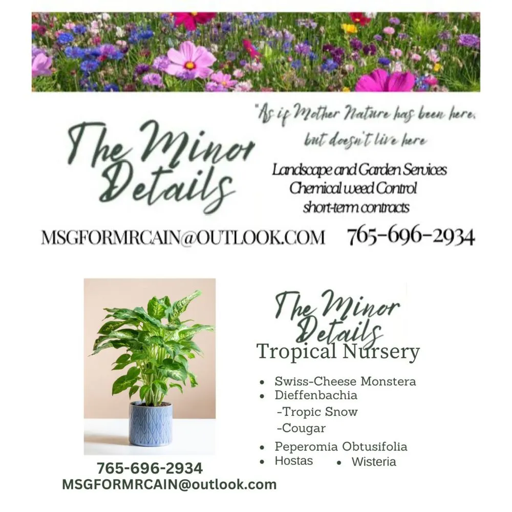 Professional yard maintenance in Anderson, IN by The Minor Detail’s Landscaping and Garden Services
