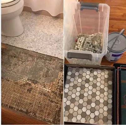 The Modern Moose Logo