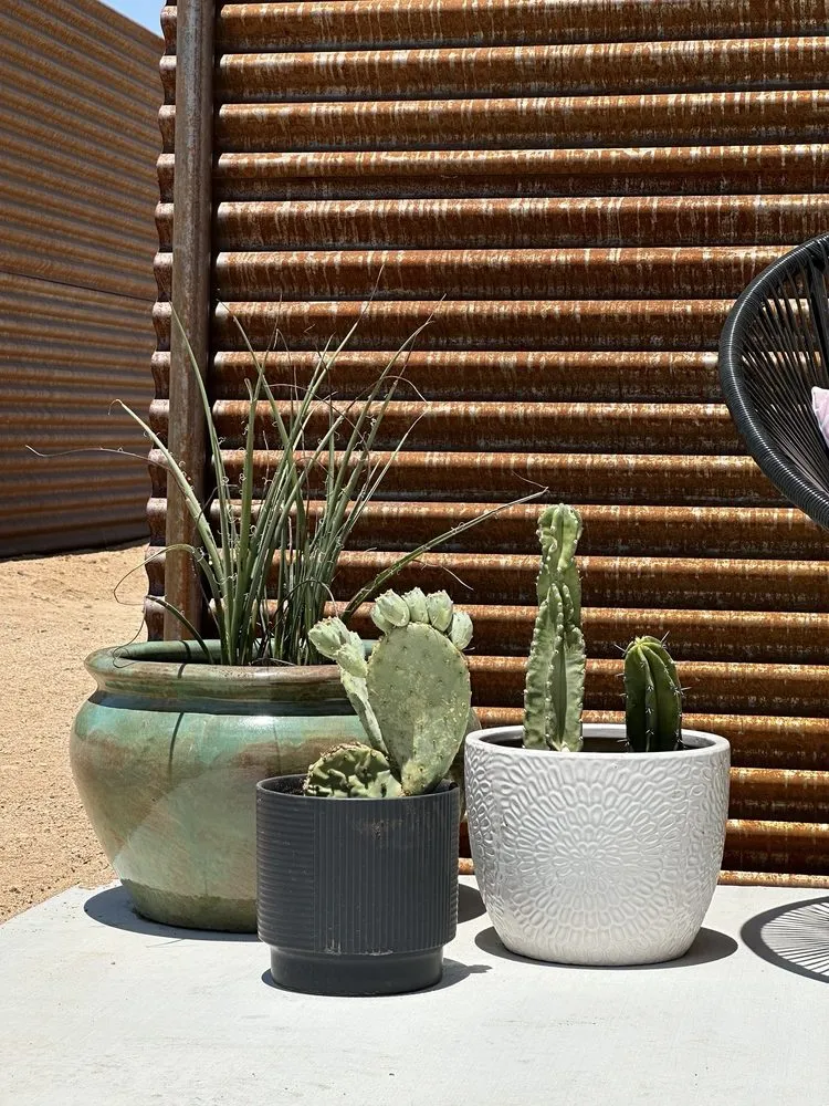 Professional outdoor landscaping in Yucca Valley, CA - The Modernist Landscapes