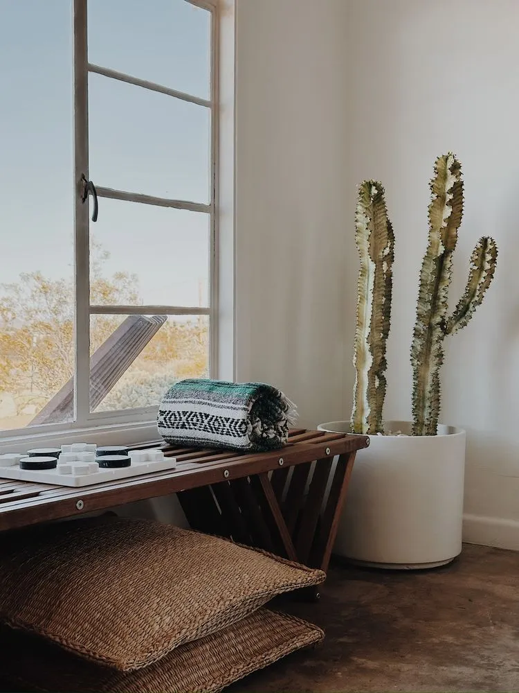 Affordable yard cleanup service experts serving Yucca Valley, CA - The Modernist Landscapes