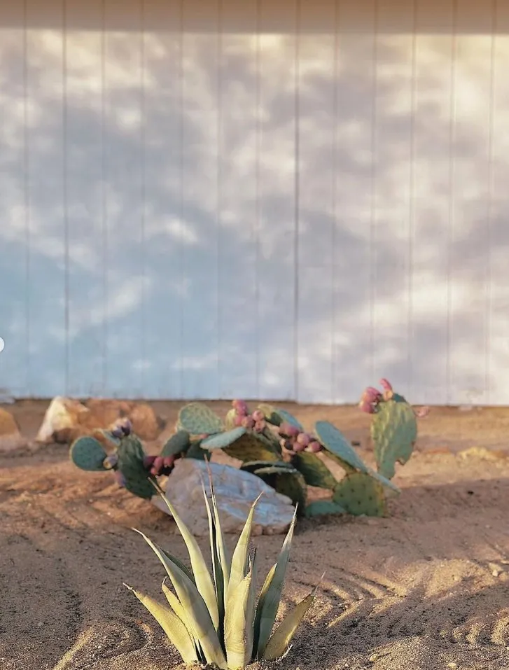 Top-rated outdoor landscaping experts serving Yucca Valley, CA - The Modernist Landscapes