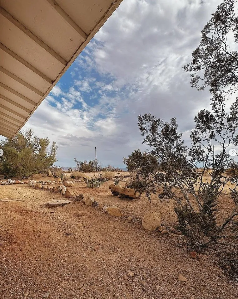 Local lawn mowing service in Yucca Valley, CA by The Modernist Landscapes