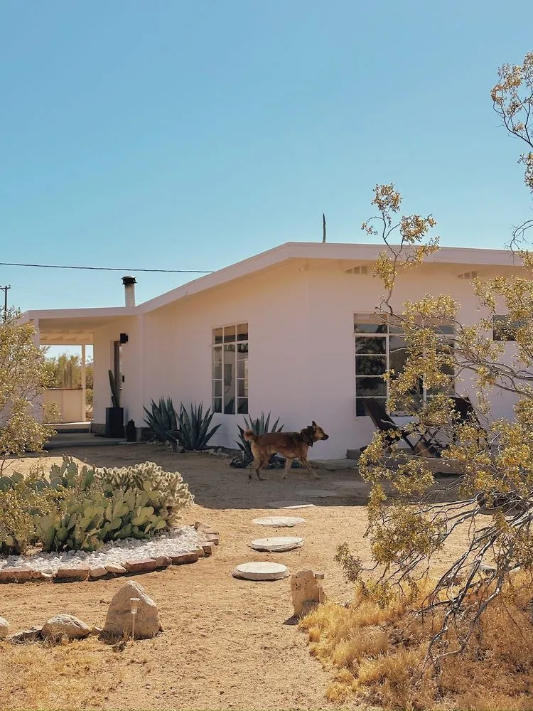 Expert garden landscaping in Yucca Valley, CA - The Modernist Landscapes
