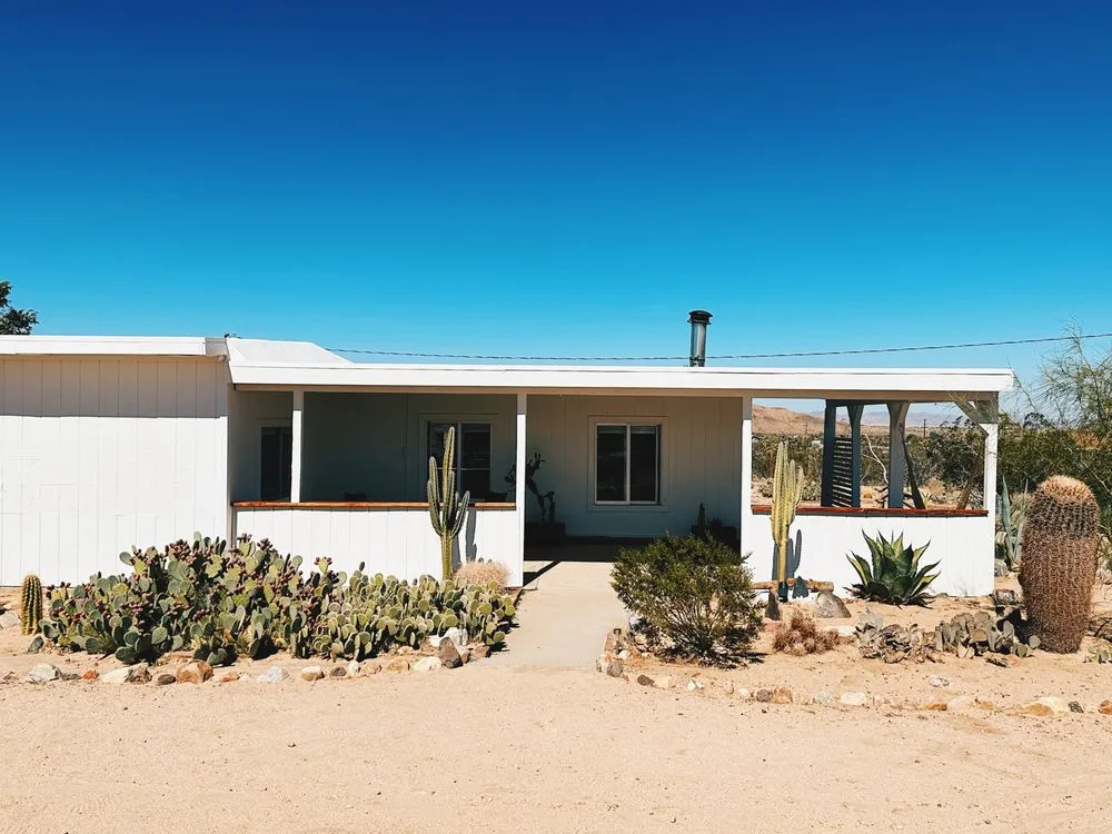 Local yard cleanup service in Yucca Valley, CA - The Modernist Landscapes