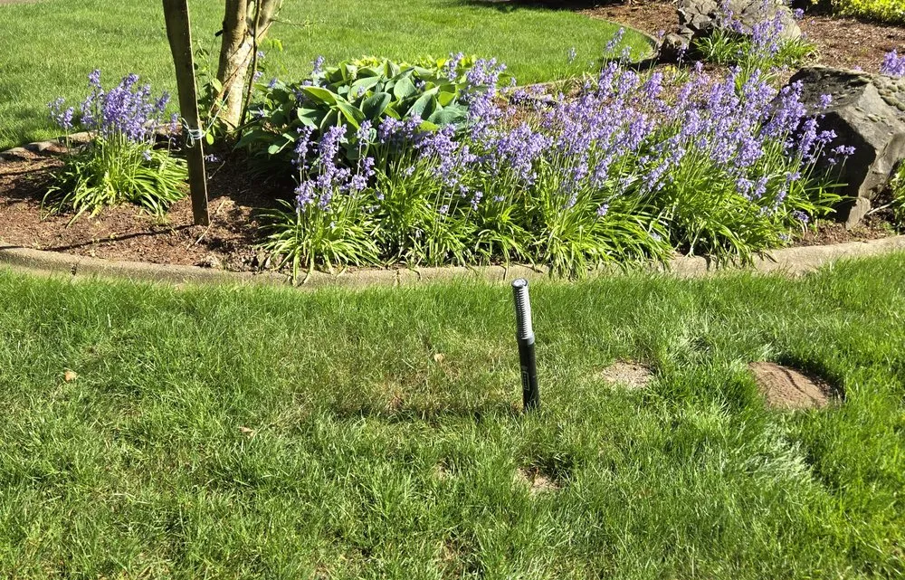 Local garden landscaping for outdoor upgrades across Puyallup, WA - The Mole Busters