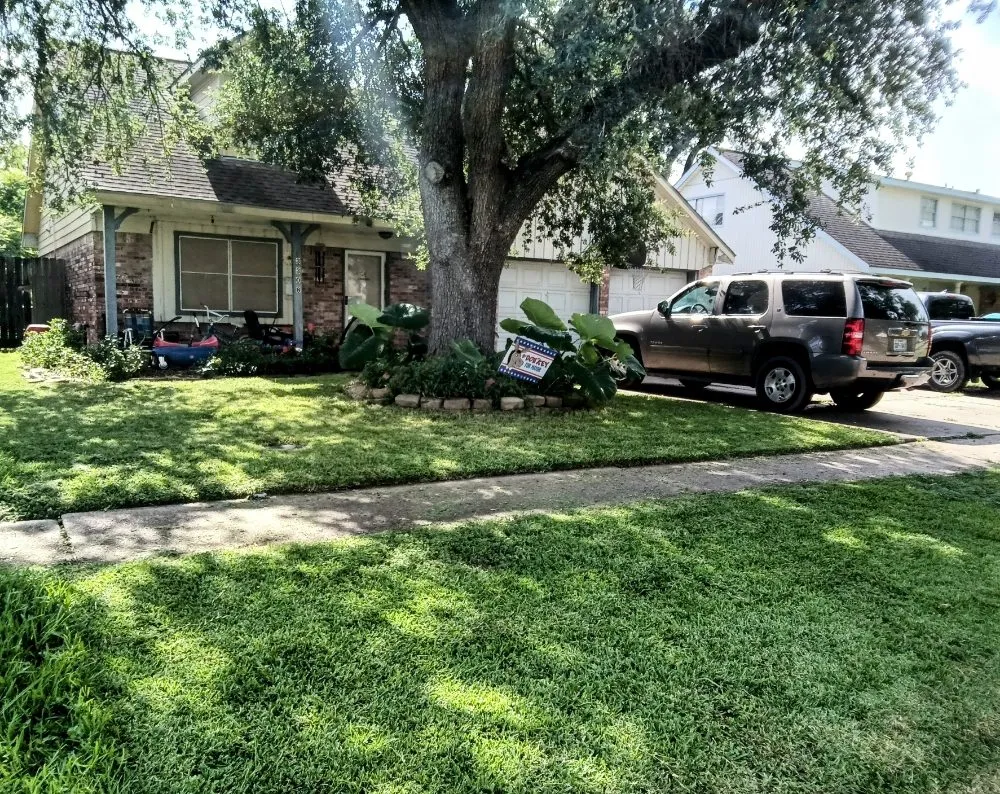 Trusted lawn care service for residential properties across Pasadena, TX - The Mooing Mowers