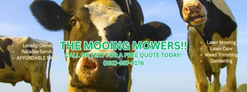Local garden landscaping with custom design across Pasadena, TX - The Mooing Mowers