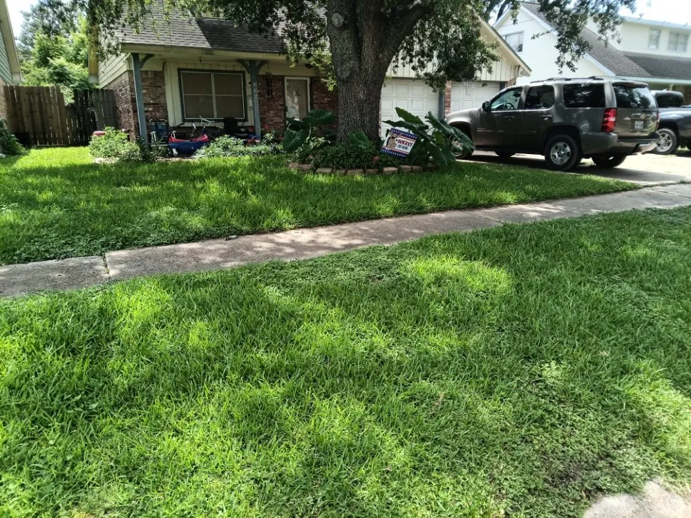 Local yard cleanup service for year-round maintenance across Pasadena, TX - The Mooing Mowers