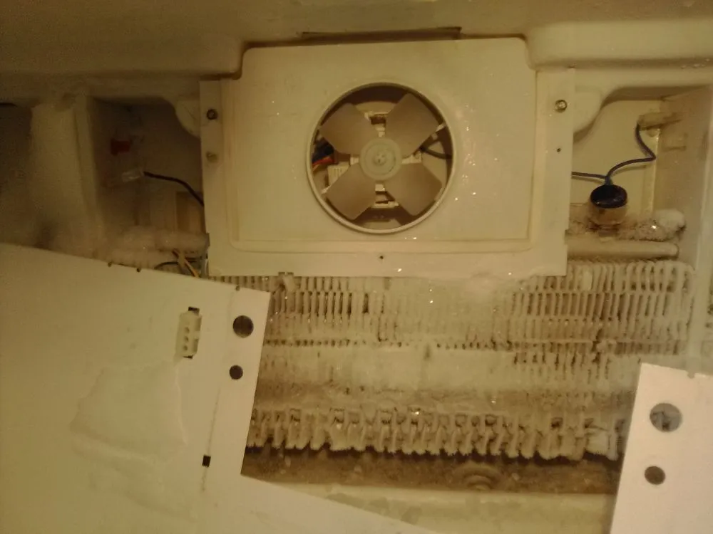 Custom yard maintenance for homes in Greenwood Village, CO by The Moore Fix