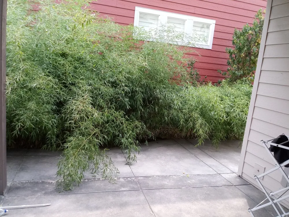 Custom lawn mowing service in Greenwood Village, CO - The Moore Fix