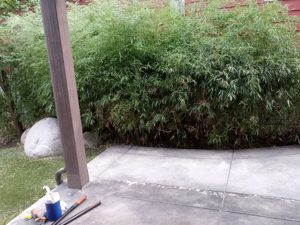 Affordable outdoor landscaping for year-round maintenance across Greenwood Village, CO - The Moore Fix