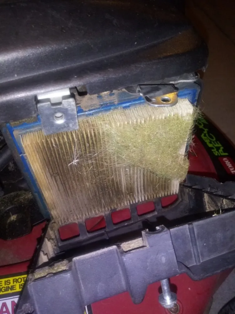 Affordable yard maintenance for residential properties across Greenwood Village, CO - The Moore Fix